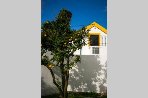 Casa La Rosa - Alojamento Rural