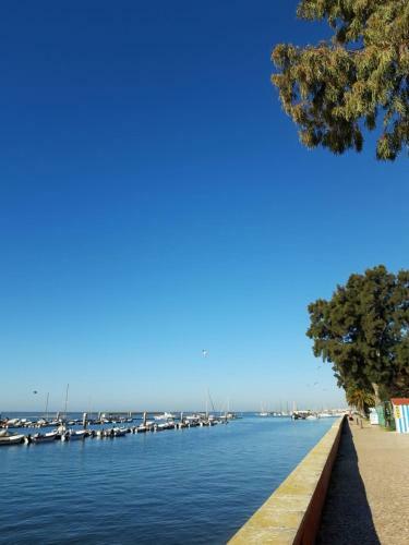 Apartamento A�oteia De Olh�o