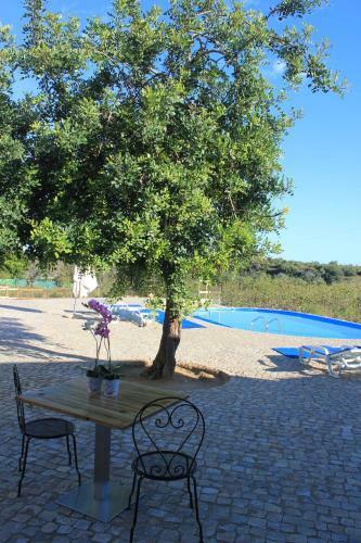 Bed & Breakfast Monte Das Perdizes