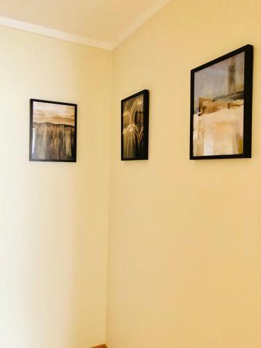 Apartamento Cavalo Marinho