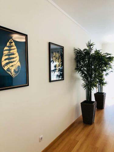 Apartamento Gar�a Real