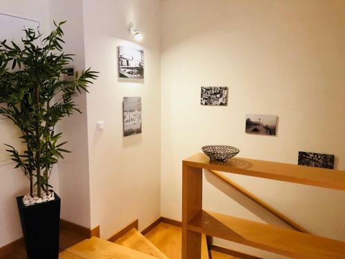 Apartamento Farol