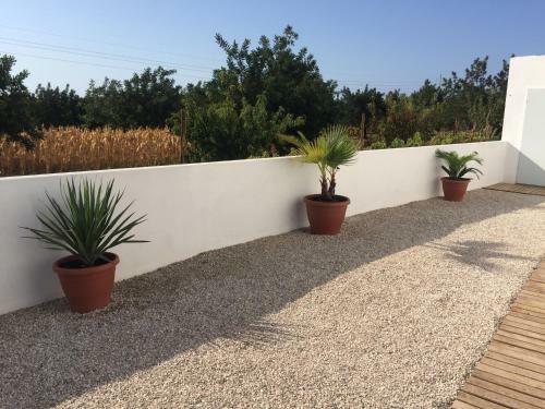 The Hamlets Apartments - The Fig Tree & The Olive Tree