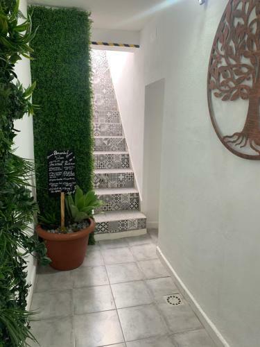 Casa Laranjeira Olh�o