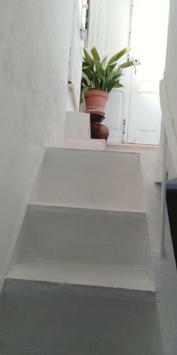 Bed & Breakfast Casar�o Al