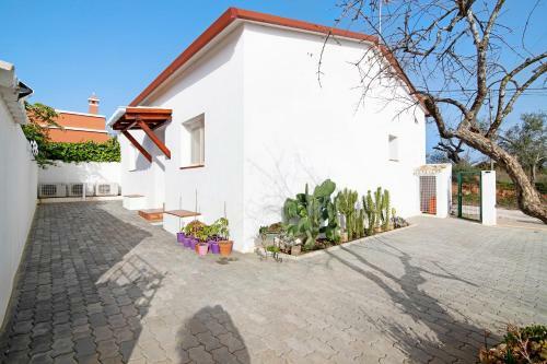 Adelino Guest House