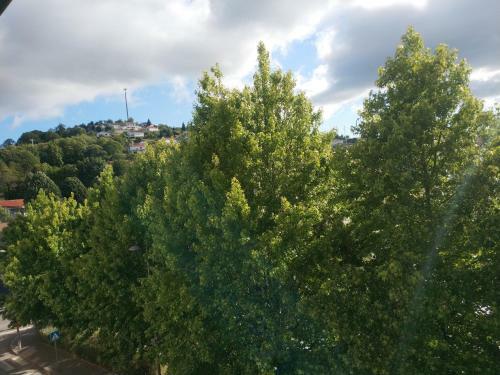 Alto Minho Central Apartment
