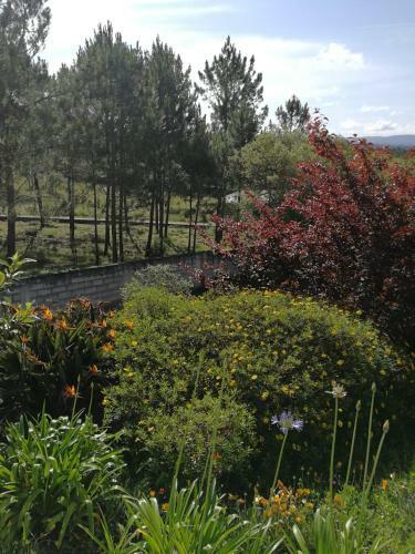 Suites Milhari�a