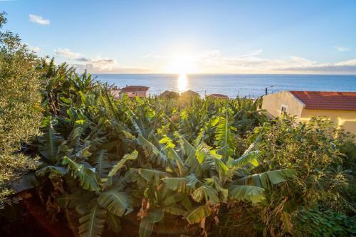 Beach Sunset Villa 150m From The Ocean
