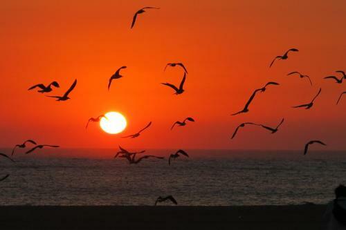 Apartamento Serenabeach