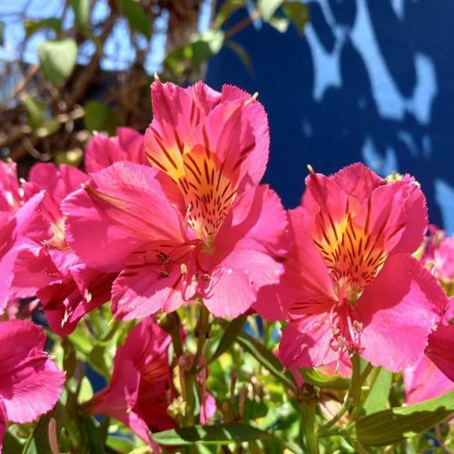 Bed & Breakfast Tipping Point North Beach Nazare