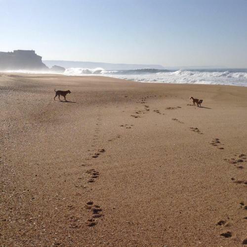 Bed & Breakfast Tipping Point North Beach Nazare