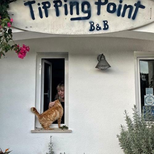 Bed & Breakfast Tipping Point North Beach Nazare