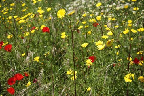 Bed & Breakfast Tipping Point North Beach Nazare