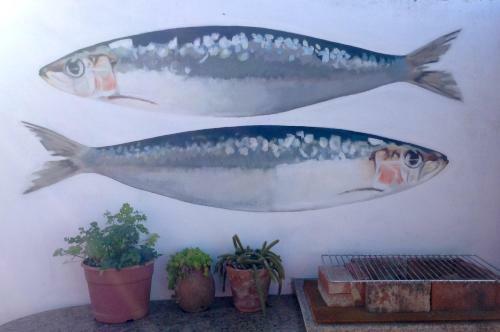 Bed & Breakfast Tipping Point North Beach Nazare