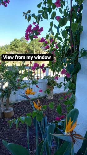 Bed & Breakfast Tipping Point North Beach Nazare