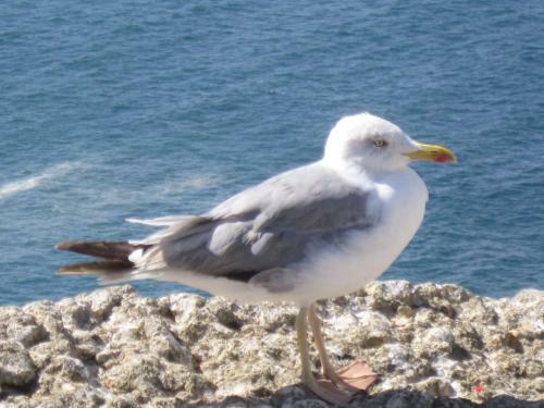 Apartamento Seethesea-al