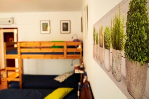 Hostal Paz & Amor Guest House - Peace & Love