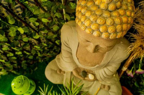 Hostal Paz & Amor Guest House - Peace & Love