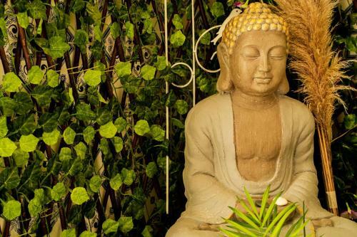 Hostal Paz & Amor Guest House - Peace & Love