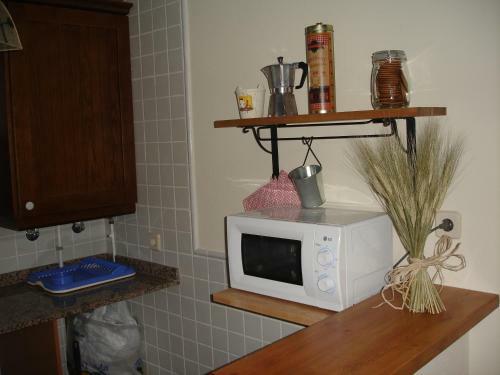 Apartamentos Aig�estortes-baqueira