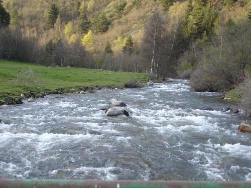 Apartamentos Aig�estortes-baqueira