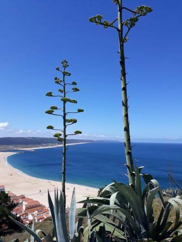 Apartamento Ref�gio Villa Mar