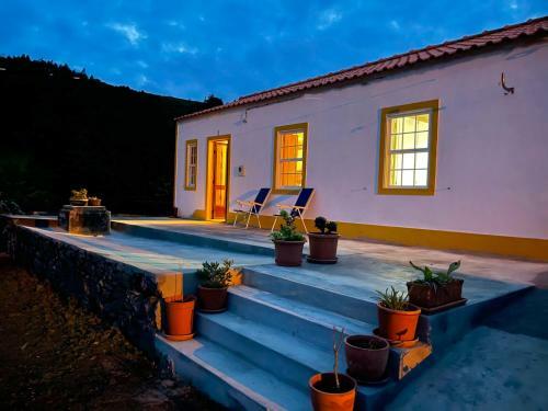 Casa Do Bicho Pau