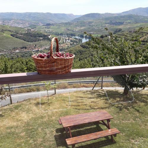 Villa Quinta Do Pombal Douro