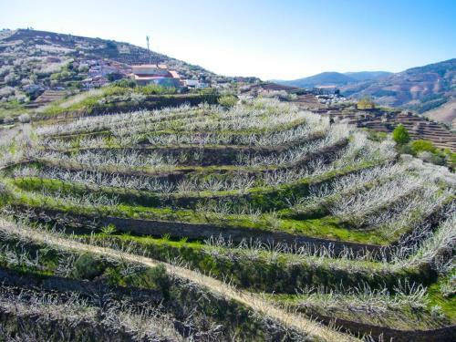Villa Quinta Do Pombal Douro