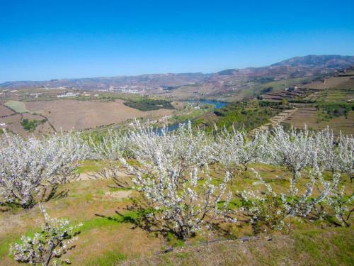 Villa Quinta Do Pombal Douro
