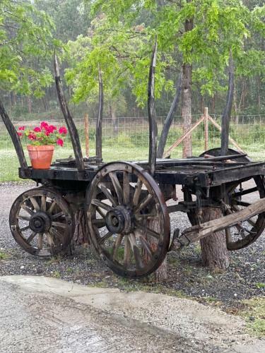 Agroturismo Monte Do Lago, Peg�es