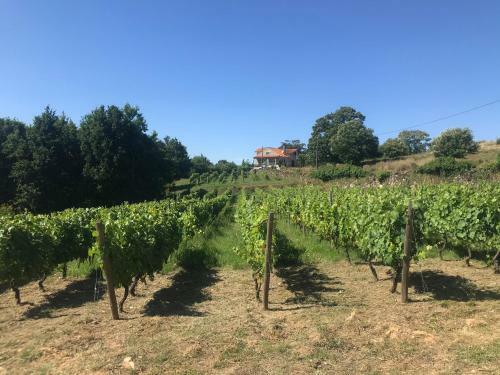 Agroturismo Quinta Casa Do Retiro
