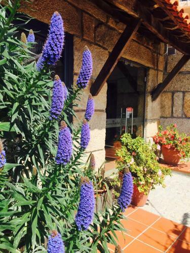 Apartamento Casa M�ximo