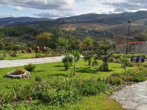Eiras Do D�o