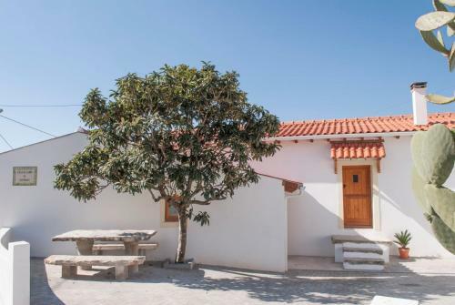 Agroturismo Casa De Campo De Oliveiras