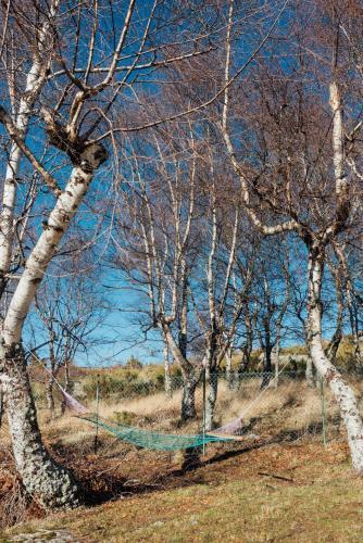 Perfect Vacation - Mountain And City - Penhas Da Sa�de/serra Da Estrela