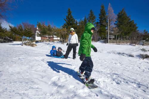 Perfect Vacation - Mountain And City - Penhas Da Sa�de/serra Da Estrela