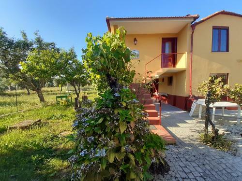 Vakantiewoning Casa Das Eiras