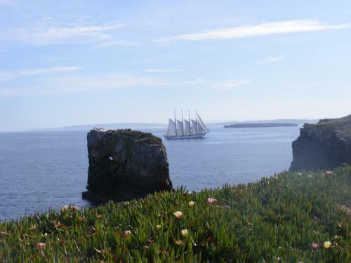 Peniche Hostel
