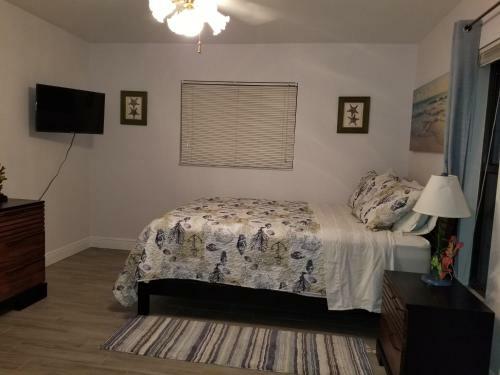 Bonita Oasis