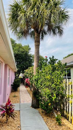 Casa Flamingo
