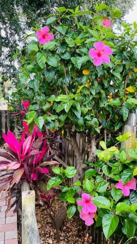 Casa Flamingo
