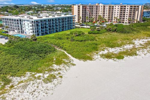 Cape Palms