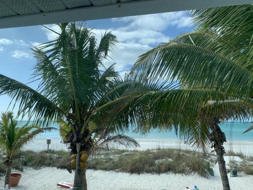 Beach Dreams Resort