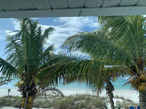 Beach Dreams Resort
