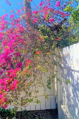 Sparkling 2bed 1bath Beach Home - Unit 214