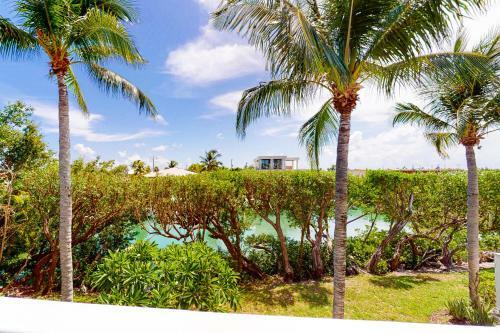 Palm Villa