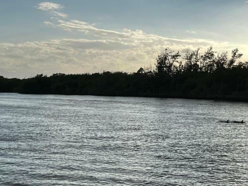 Dania's Cottage At Dania Beach