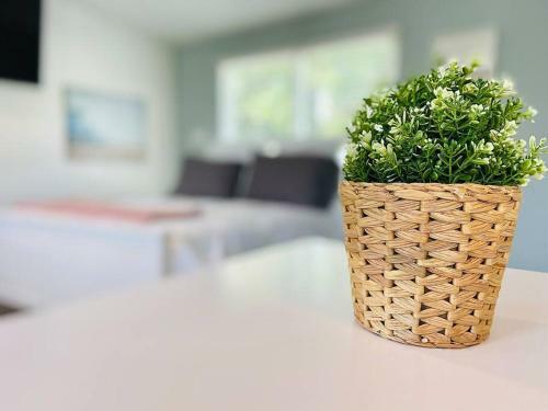 New! The Cutest Tiny Home W/ Pool. Couples Retreat